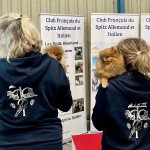 Tagada du Clos des Pom’ de Pins (Portée Ravinsara ❤ Roitelet 2022) (CACS) à l'expo Tagada du Clos des Pom’ de Pins (Portée Ravinsara ❤ Roitelet 2022) (CACS) à l'expo