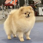IMG_8926 IMG_8926